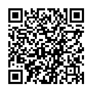 之前站在路边感觉只是黑压压的人群和高举的标语横幅二维码生成
