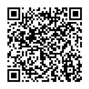 之前赵纯良在的时候地球联邦包括一些真神还不敢对桑巴国怎么样二维码生成