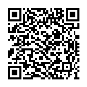 之前那位傲娇的说勉为其难让你交朋友的傲娇龙二维码生成