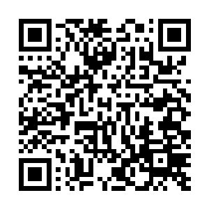 之前那散落一地的残肢断臂这会儿被这食肉蛊嗅到了味道二维码生成