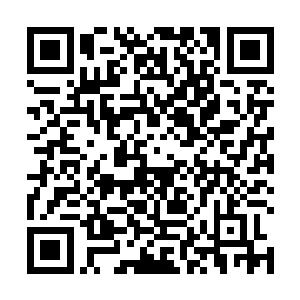 之前陨落红莲在吸收了大量的火焰精魄后陷入沉睡昏迷二维码生成