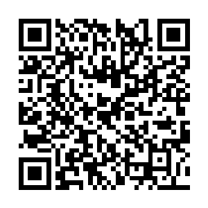 之前韩风根本都没有施展出真仙寂灭指的所有威力二维码生成