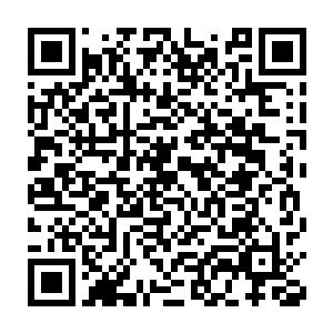 之后七个大乘期修士便向着手中的仙器注入体内为数不多的仙元力二维码生成