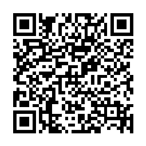 之后又运用精神力在屋子的周围仔细地扫描了一遍二维码生成