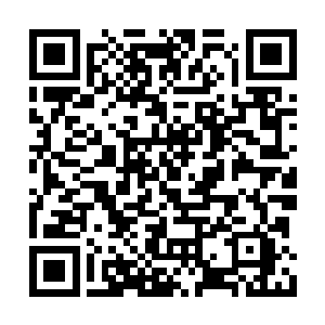 之后大家也都察觉到了石云边在和金漫传音沟通二维码生成