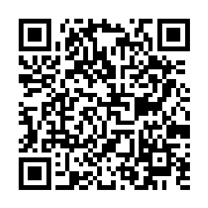 之后更是以圣女身体有病为由拒绝了邀请娑娜的所有活动二维码生成