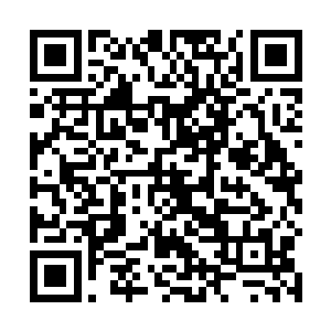 之后没过多久便根据他们的特长优势分配到了各个部队二维码生成