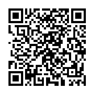 之后被带上了四名犯人以及被解救出来的小勋贵完颜麟奇二维码生成