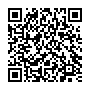 之后铺路这件事竟然在九原变成了所有战士训练自己的固定项目二维码生成