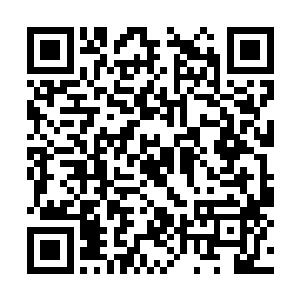 之后雨果和梅丽尔一起与阿尔一帕西诺闲聊了一会二维码生成