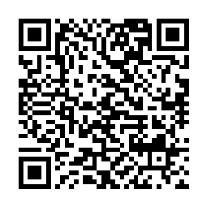 之城中五大势力中我们恐怕只能跟西城的飓风帮相比二维码生成