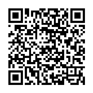 之所以不能打职业就是因为不够全面而容易被针对二维码生成