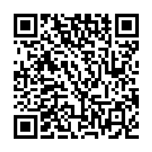 之所以刚才那么轻易就吃了那么多辣椒粉……他只是吃得太投入二维码生成