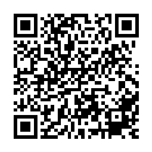 之称的著名华裔设计师王薇薇与结婚至今17年的企业家丈夫亚瑟二维码生成