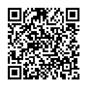 乌比一脸遗憾的话语瞬间让所有人都再也忍不住二维码生成