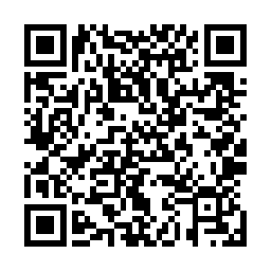 乌比信手拈来的一句话顿时让现场所有人都忍不住笑了起来二维码生成