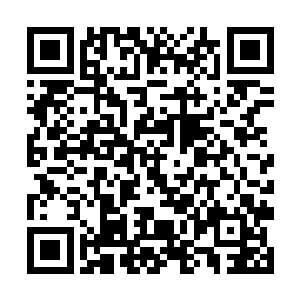 乐土最终不得不暴露大秘密他可以吸收消化事实浮冰二维码生成