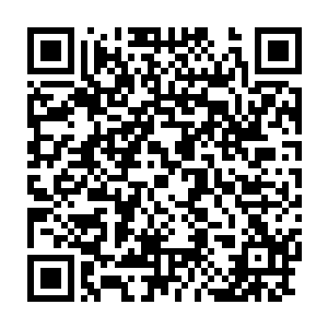 乐府府主也与那拨偷偷进入北凉关内的北莽宗师一起沦为客死他乡二维码生成
