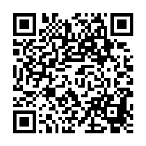 乔乔来送我礼物的时候拍的……她她不在照片里了……为什么二维码生成