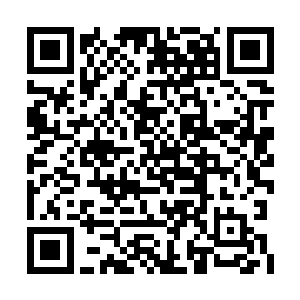 乔梅呢是跟任何人没有利益牵扯她都躲得远远的二维码生成