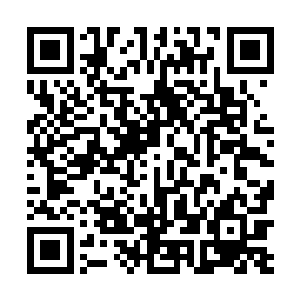 乔欧将军带领空军231部队集结在皇宫上空等待首长指示二维码生成