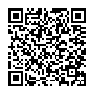 乔洁从来没见过自家主子这副雅痞的样子不由扑哧一笑二维码生成