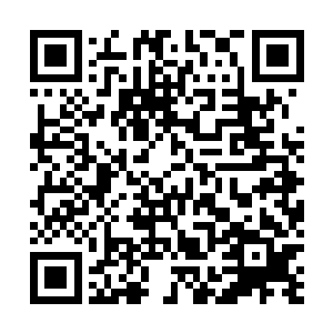 乔荞的店是个女人走进来都会发现自己漂亮了不止一点点二维码生成