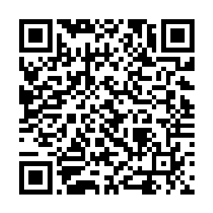 九个本向夏云杰扑食而去的飞天婴颅里面便半途而止二维码生成