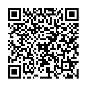 九圣子现在的成就称之为神话倒也是一点都不为过二维码生成