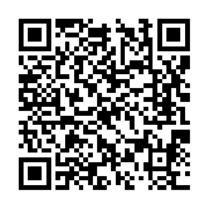 九大宗主和四堂堂主早已经放弃了这里的岩石之心二维码生成