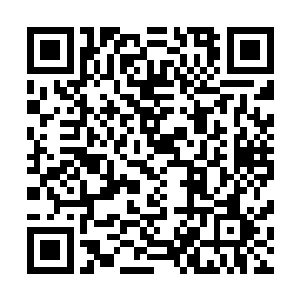 九大扈从的名额则全成了圣殿长老以及一些大势力钦点之物二维码生成