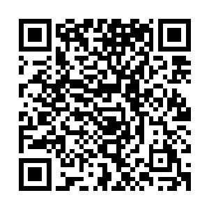 九头圣王那巨大的翅膀竟然被骨皇一剑斩落之后就这么凭空消失二维码生成