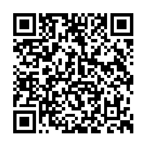 九尾妖狐族联合了九皇山脉内所有妖族部落高手二维码生成