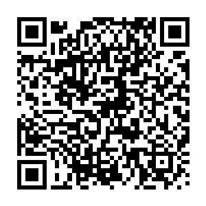 九峰的结界和阵法是九天圣地历代老圣主耗费无数年的心血布置完善出来的二维码生成