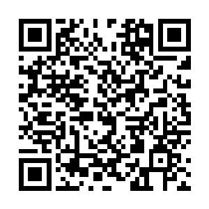 九彩神龙体表的伤势也在以一种十分恐怖的速度恢复着二维码生成