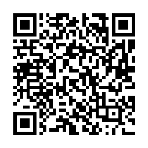 九条蛟龙尾被诡异的红光笼罩朝花无痕盘飞着袭卷而去二维码生成