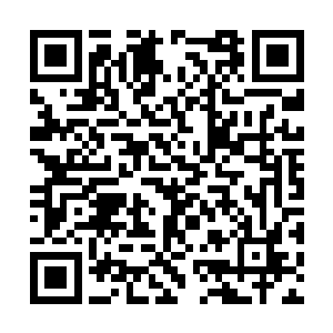 九根凤尾分别蕴藏着金木水火土光暗风雷九大属性二维码生成