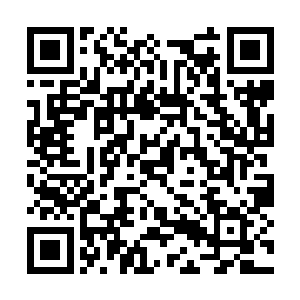 九死一生功……或许只有找到九死一生功下半册后二维码生成