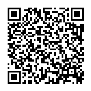 九百九十九号嘉宾喊出一百万这个惊人的数字之后场上出现了短暂的沉默二维码生成