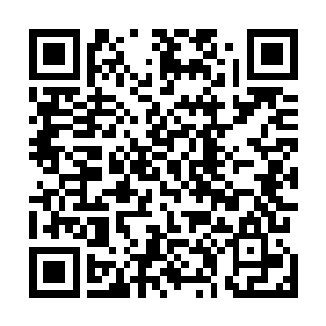 九转涅槃功达到气海第四重巅峰恐怕就要进行第一次涅槃二维码生成