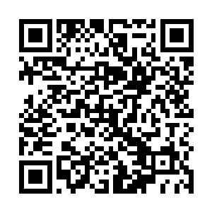 九转金丹可以令天尊之下的尊级高手直接突破一个境界二维码生成