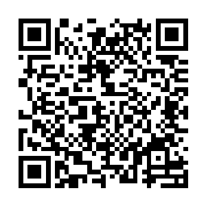 九转龙神的眼底也是闪过了一丝恐怖的戾气开口道二维码生成
