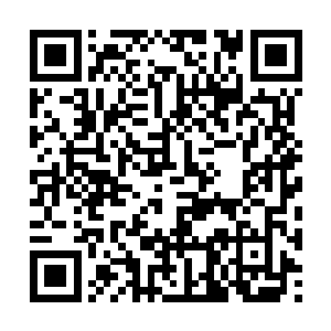 九道火红的世界破天一般地斩向了落阳的九颗头颅二维码生成