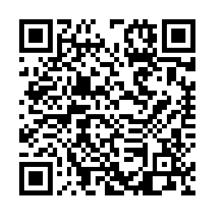 九长老这么说只不过是为了证明夏天是真的受伤了而已二维码生成