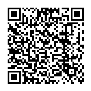 九风和小白角今天也换了一套由人鱼亲手纺织和制作的超美鲛纱夏服二维码生成