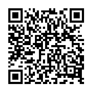 也不代表谁会愿意为了让她死而把自己的命也玩掉二维码生成