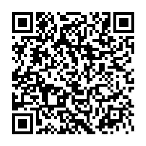也不会因为这种私人恩怨在夜里还是在柳维和朋友夜游的情况下下杀手二维码生成
