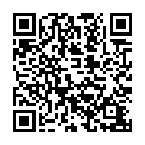 也不会觉得一个人很孤单――今天晚上的烟花真漂亮啊二维码生成