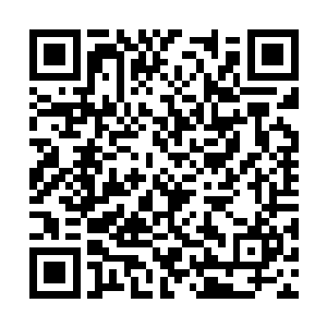 也不可能为了苏林去得罪那跟自己出生入死的队员二维码生成