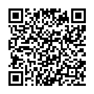 也不可能在如此短的时间内修炼至地级八品武者二维码生成